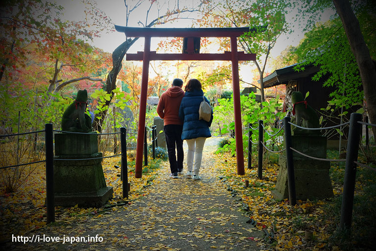 Hondoji temple Autumn Leaves(Matsudo,Chiba)