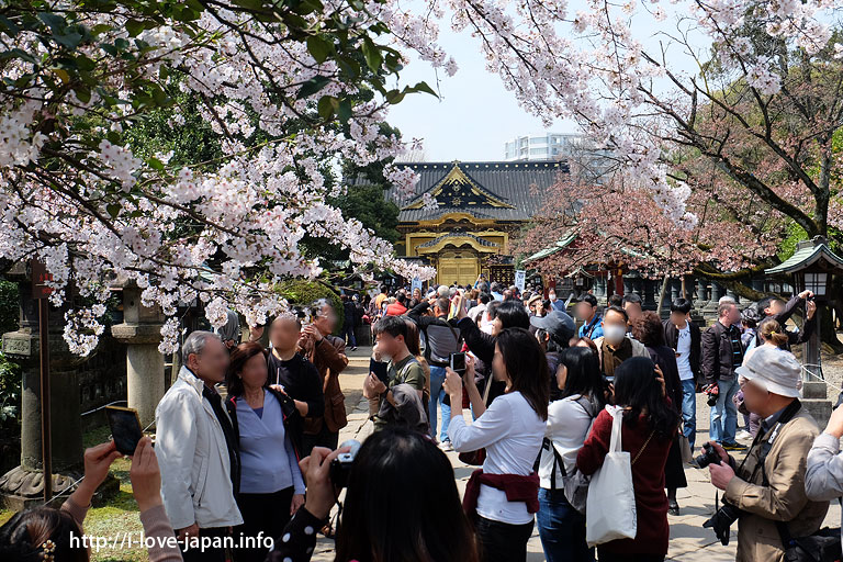 Ueno Toshogu