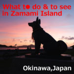 What to do & to see in Zamami Island(Okinawa)