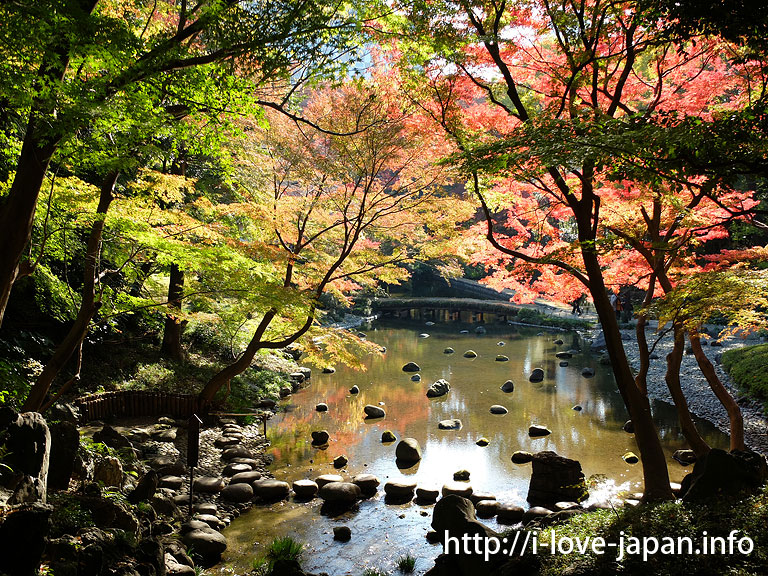Koishikawa Korakuen Gardens in fall