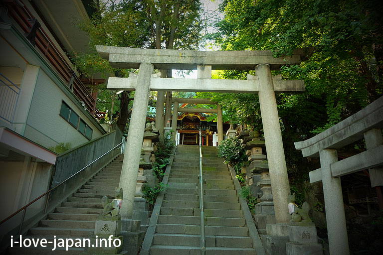 Wishing for "Mr. Fox and Mr. Stone" at Oji Inari shrine(Kita-ku,Tokyo)
