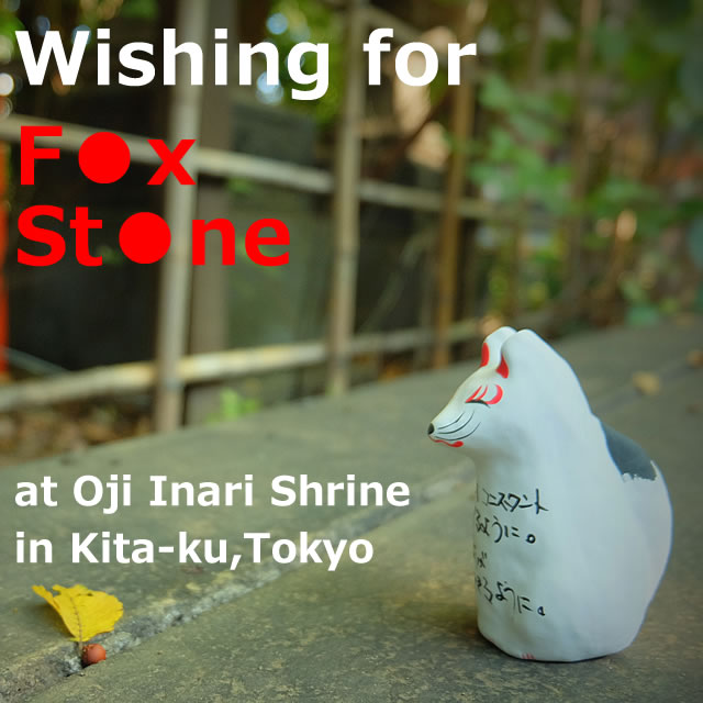 Wishing for "Mr. Fox and Mr. Stone" at Oji Inari shrine(Kita-ku,Tokyo)