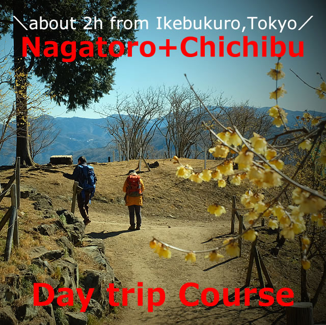 Chichibu and Nagatoro! Recommended plan 【Nagatoro edition】