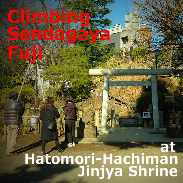 Climbing Sendagaya Fuji at the Hatomori-Hachiman jinjya shrine! (Shibuya-ku,Tokyo)