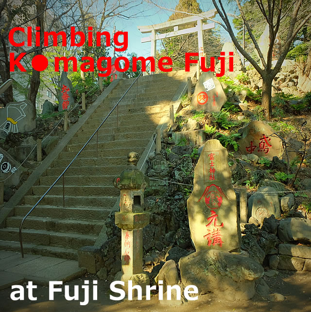 Climbing “Komagome Fuji” at Fuji Shrine (Bunkyo-ku,Tokyo)
