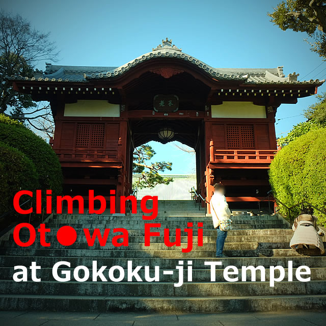Mountain climbing "Otowa Fuji" at Gokoku-ji Temple(Bunkyo-ku, Tokyo)