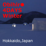 Obihiro [Winter x 3 nights 4 days] Recommended! Model course (Hokkaido)