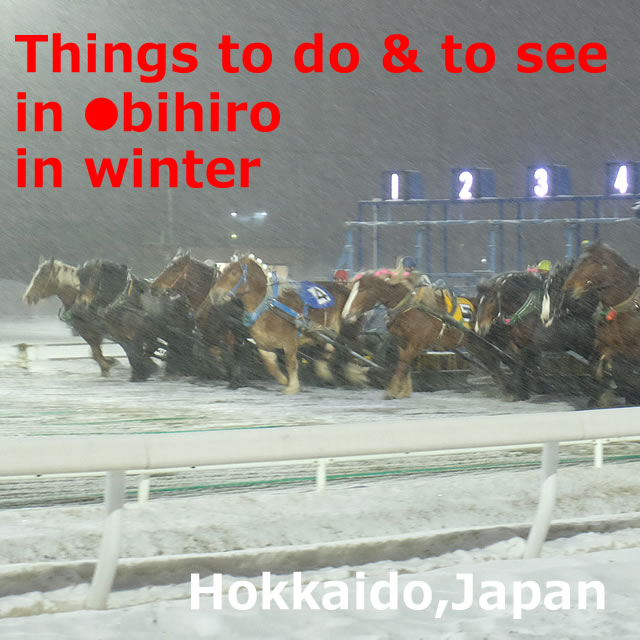 Things to do & to see in Obihiro in winter【7H】Hokkaido
