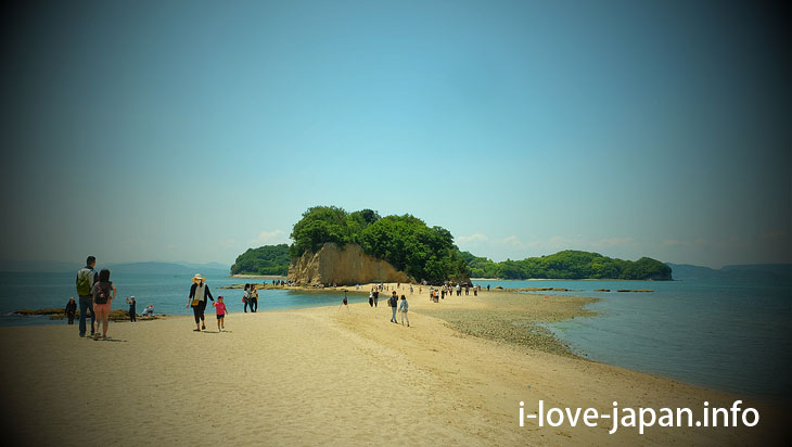 Not only Angel Road! But Also Shodoshima Tonosho Port area's sights [3 hour course] (Kagawa)