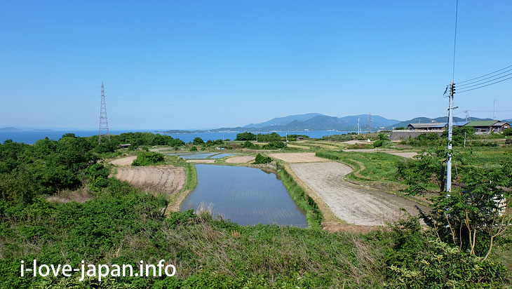 Rice terrace (near the bus stop "Shimizu Mae")＠Not Only Teshima Art Museum But Also Many Sightseeing Spots in Teshima island(Kagawa)