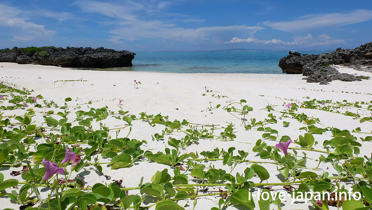 Terasaki Coast in Yoron Island