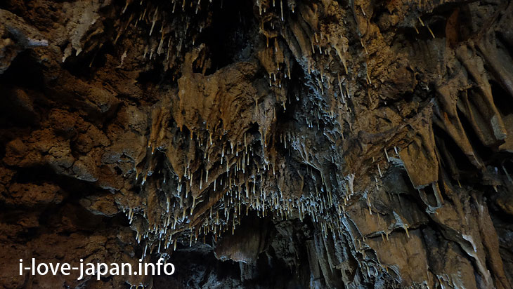 I explored Akazaki Cave in Yoron Island