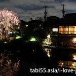 Sakura near Ikebukuro