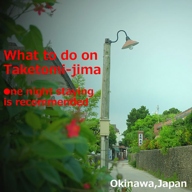 What to do on Taketomi-jima island! One night staying is recommended(Okinawa)